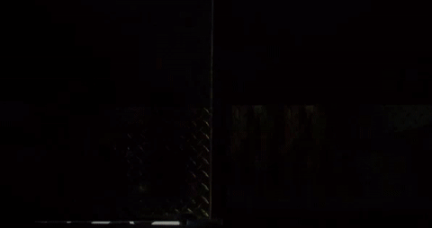dog #criminalminds GIF by CBS