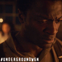 drama GIF by Underground