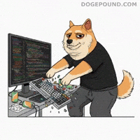 Angry Shiba Inu GIF by Doge Pound