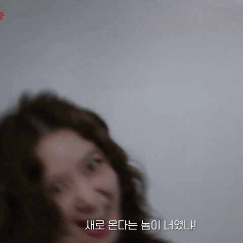 선지 GIF