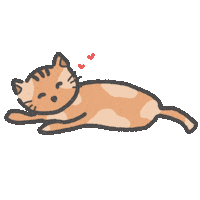 Cat Hello Sticker