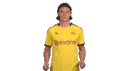 Borussia Dortmund Love Sticker by Bundesliga
