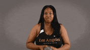 Cal State La Track GIF by Cal State LA Golden Eagles