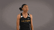 Cal State La Track GIF by Cal State LA Golden Eagles