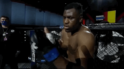 Francis Ngannou Sport GIF by UFC