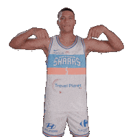 Sharksantibes Sticker by Antibes Sharks