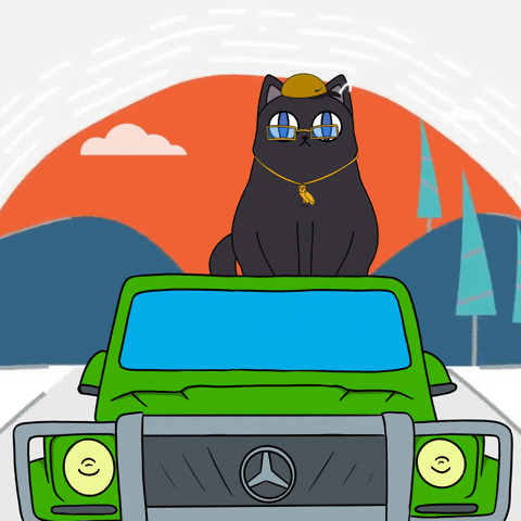 Cat Car GIF by Visual Smugglers