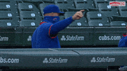 Cubs GIF by Marquee Sports Network