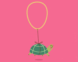 turtle GIF by Christina Lu