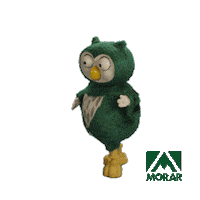 Dance Feliz Sticker by Morar Construtora