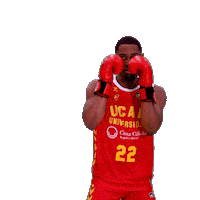 Liga Endesa Sport Sticker by ACB