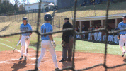 baseball brett langhorne GIF by Carson-Newman Athletics