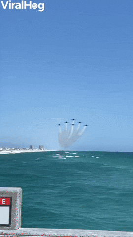 Blue Angels Delta Formation Beach Run