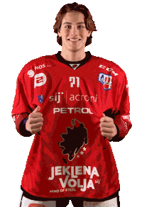 Hockey Yes Sticker by HDD SIJ Acroni Jesenice