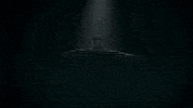 Diversification GIF
