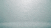 Diversification GIF