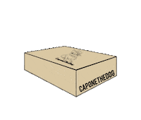 caponethedog harry potter dog caponethedog caponethedog shop pedido recibido Sticker