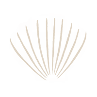 Beaufortbonnet Sticker by The Beaufort Bonnet Company