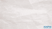 Fitness Health GIF by RENPHO