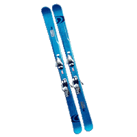 Ski Sticker by Chalet.nl Wintersport