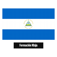 Flag Pixel Art Sticker by Formación Ninja