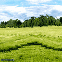 Summer Loop GIF by Psyklon