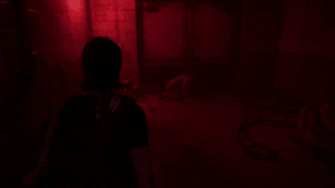 naysflow giphyupload ellie tlou2 the last of us part 2 GIF