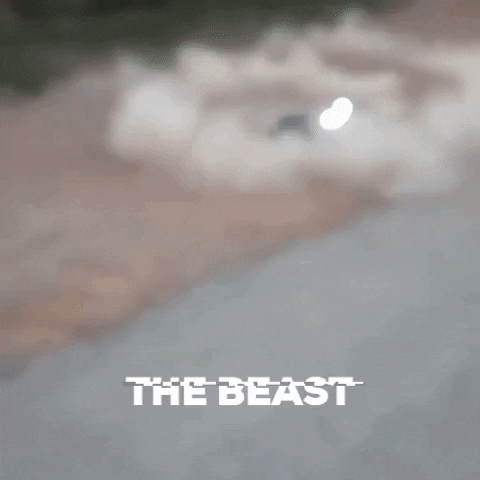 mokra giphygifmaker car drift beast GIF