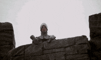 tor GIF