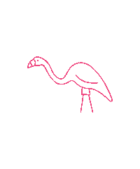 Flamingo Fth Sticker by Wisconsin Foundation and Alumni Association