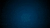 GIF by Flagman Fishing