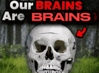 Our Brains GIF