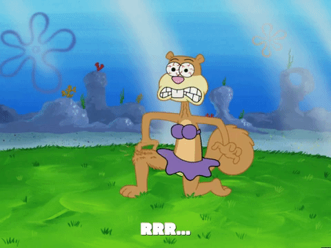 season 5 episode 10 GIF by SpongeBob SquarePants