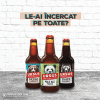 Beer GIF by URSUS ROMANIA