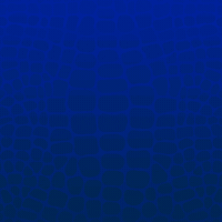 Orange Spring GIF by UF J-School