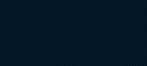 Ice Hockey Logo GIF by NHL