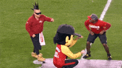 Football Nfl GIF by P-Lo