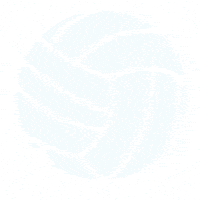 305Volleyballclub GIF by 305VBC