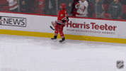 Happy Carolina Hurricanes GIF by NHL