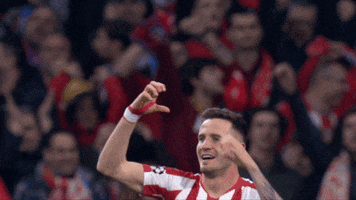 Champions League Love GIF by Atlético de Madrid