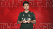 Hannover 96 Vbl GIF by Bundesliga