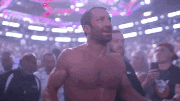 Mixed Martial Arts Sport GIF by UFC