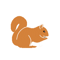 Squirrel Sticker by The Village Dallas