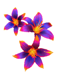 Summer Grow Sticker by daisy maize