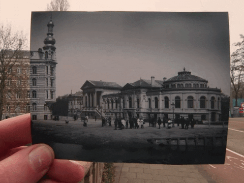 GIF by ARTIS