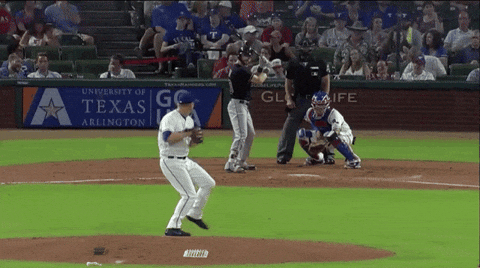 megrowler giphyupload GIF