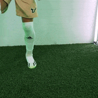 South Florida Soccer GIF by USF Athletics