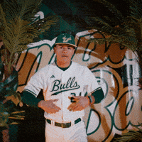 South Florida Baseball GIF by USF Athletics