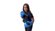 Hitfit fitness boxing doha the pearl Sticker