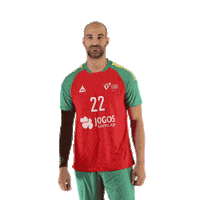 Ehfeuro Sticker by Federação de Andebol de Portugal